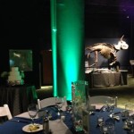 Orlando Science Center Wedding Dino Digs Lighting